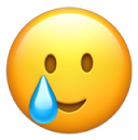 crying emoji